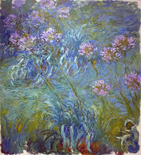Claude Monet Agapanthus oil painting picture